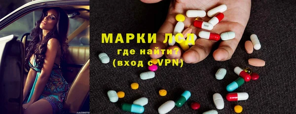 крисы Корсаков