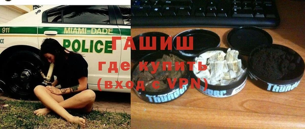 крисы Корсаков