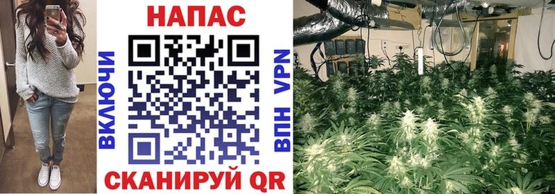 Канабис планчик  Котовск 